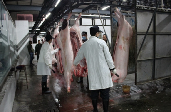 蒸汽模塊爐為屠宰場(chǎng)提高效率!